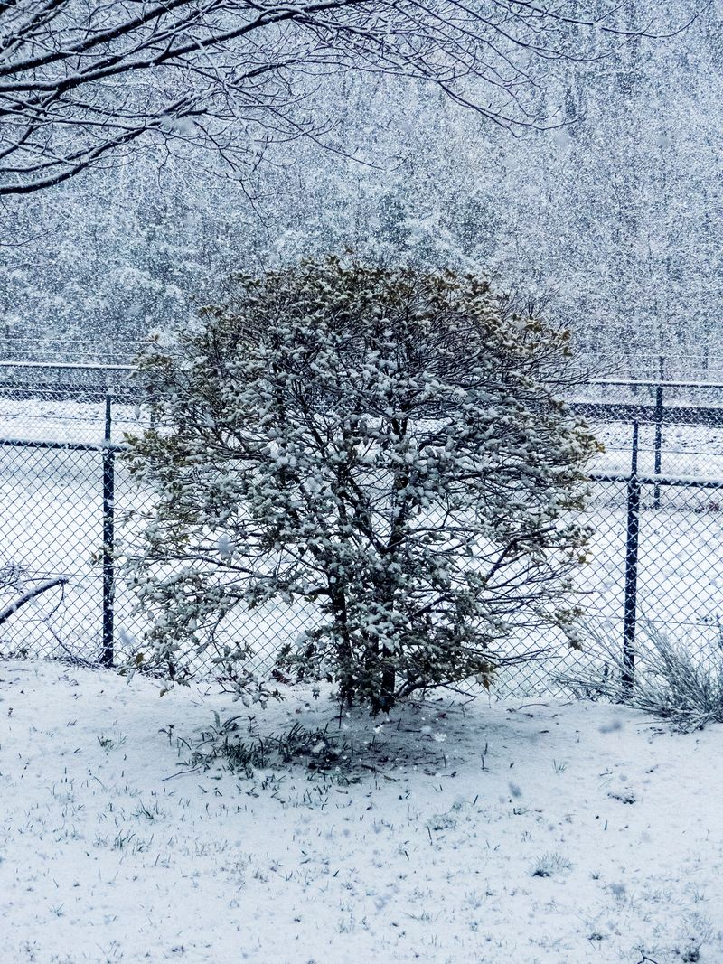 Sneeuw in april